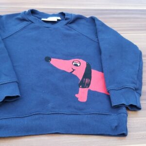Coole sweater Mini Rodini 4j