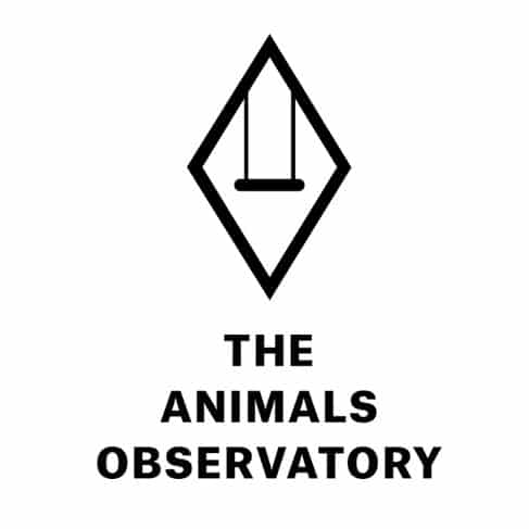 the animal observatory secondhand
